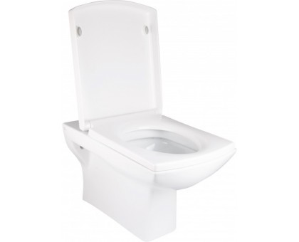 Сифон для групи безпеки бойлера Roho R2200